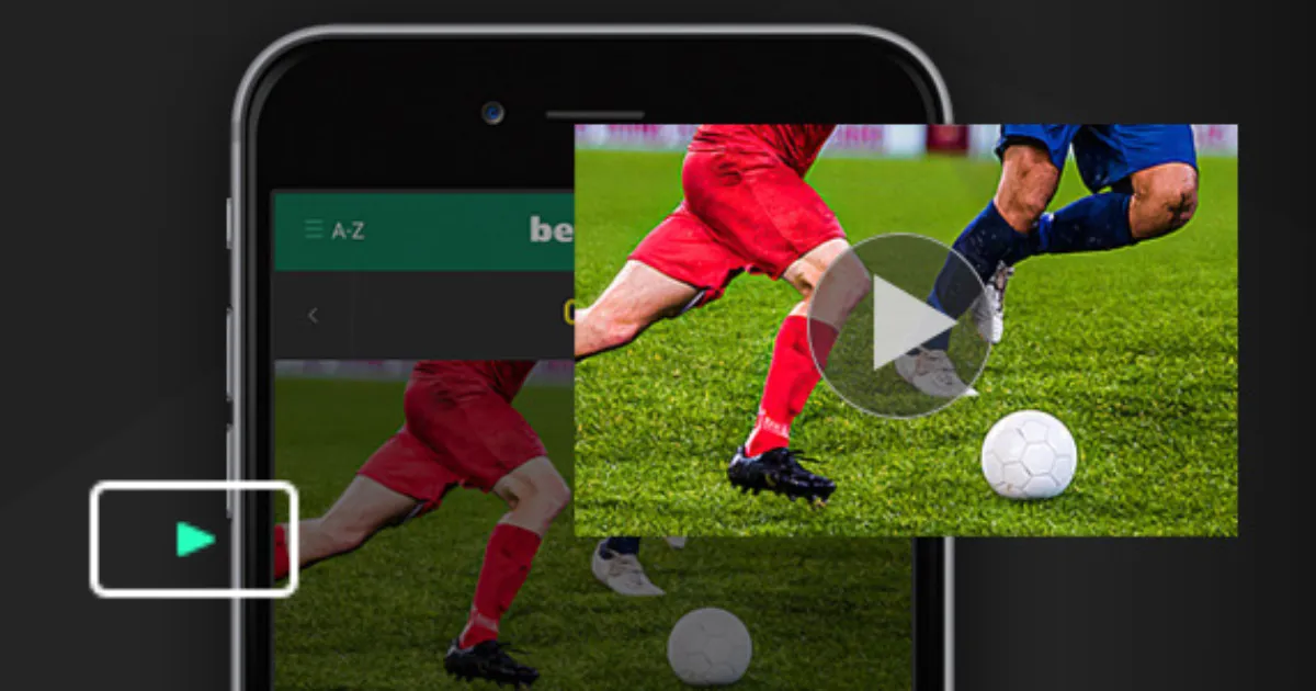 主席严正声,种族主义事,件发生即判,新葡京,新葡京app,新葡京娱乐,新普京赌场