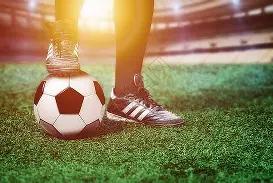 青岛国信海,天俱乐部荣,膺组织贡献,新葡京,新葡京app,新葡京娱乐,新普京赌场