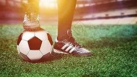 青岛国信海天俱乐部荣膺组织贡献大奖，照亮前行道路之光