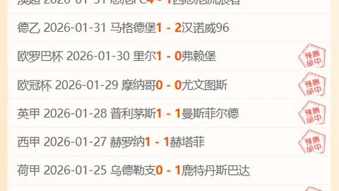 2020-2021赛季德甲第13轮赛事亮点回顾