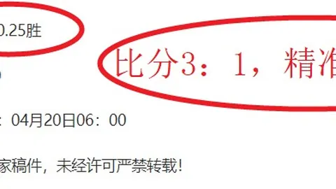 Beef第二季专业影评解析